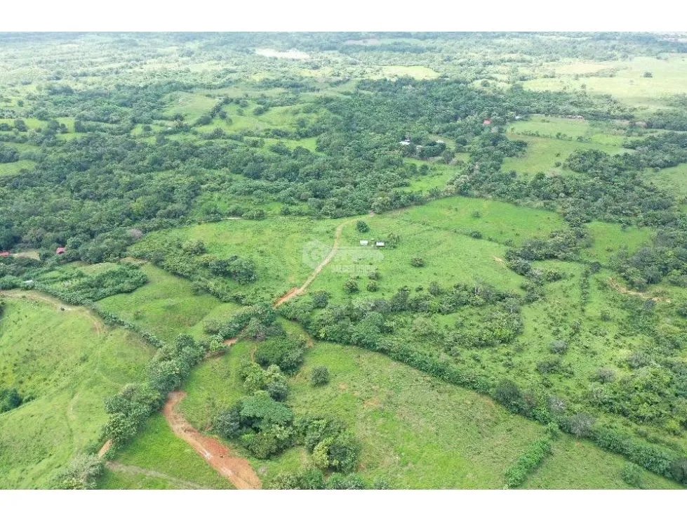 Building Lot for sale in Chepo
