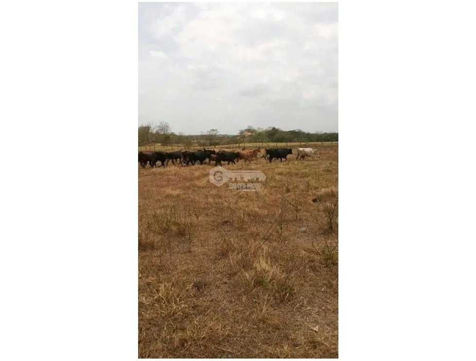 Building Lot for sale in Chepo