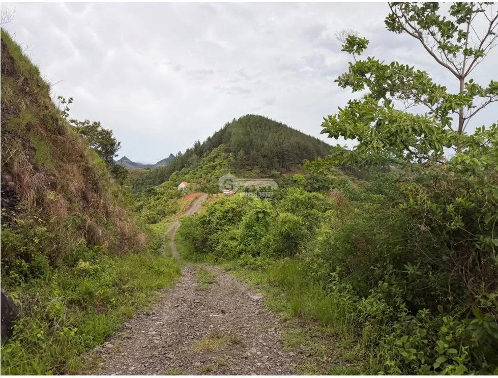 Building Lot for sale in Sora