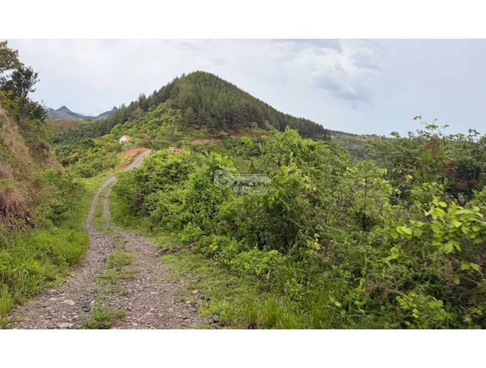 SE VENDE TERRENO EN CHAME SORÁ 21 HECTAREAS CON HERMOSA VISTA AL MAR