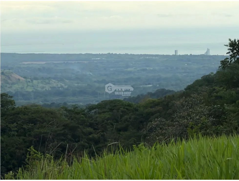 SE VENDE TERRENO EN CHAME SORÁ 21 HECTAREAS CON HERMOSA VISTA AL MAR