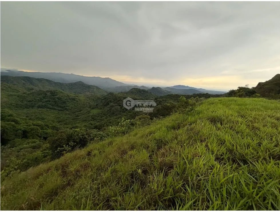 FINCA / CHAME / SORÁ / 21 HECTÁREAS / HERMOSA VISTA AL MAR / AMPLIO
