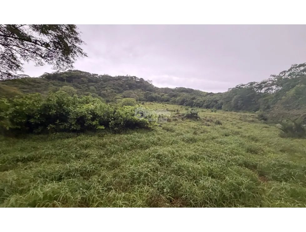 SE VENDE TERRENOEN LOS CAJONES DE CHAME 70K M ACCESO A AGUA VIVA