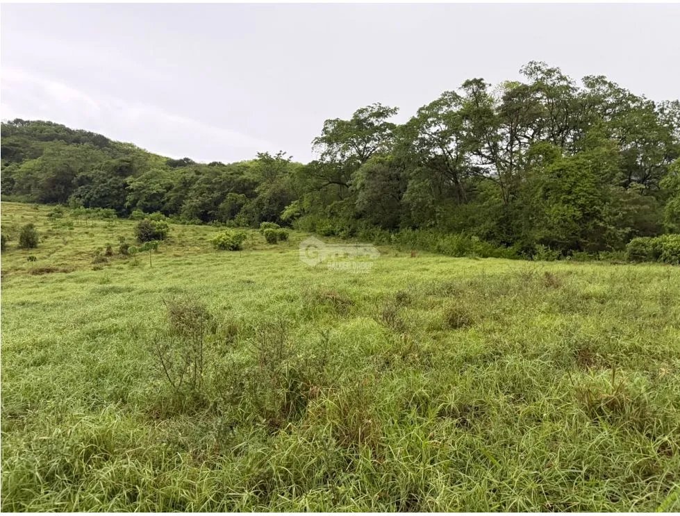 SE VENDE TERRENOEN LOS CAJONES DE CHAME 70K M ACCESO A AGUA VIVA