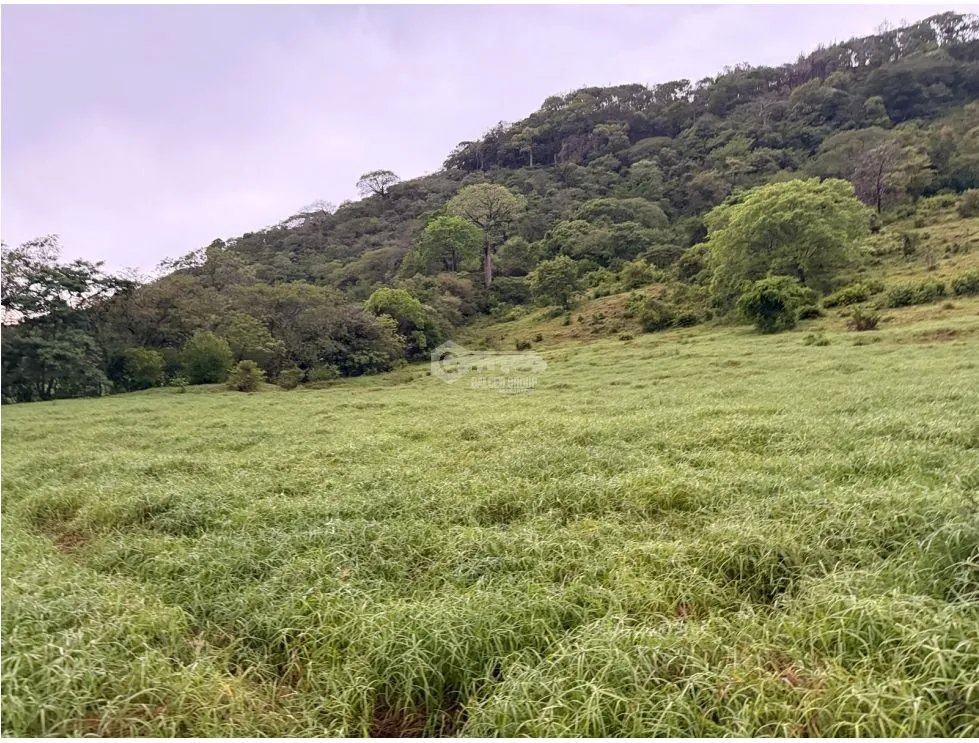 SE VENDE TERRENOEN LOS CAJONES DE CHAME 70K M ACCESO A AGUA VIVA