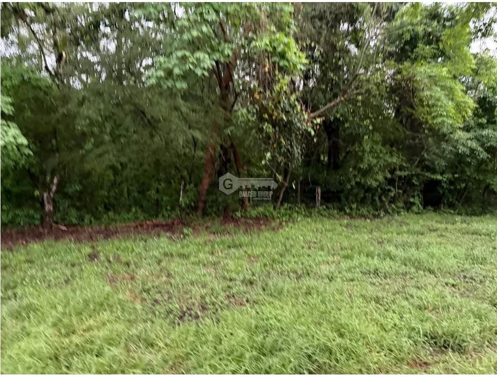 Land/Farm for sale in Sora