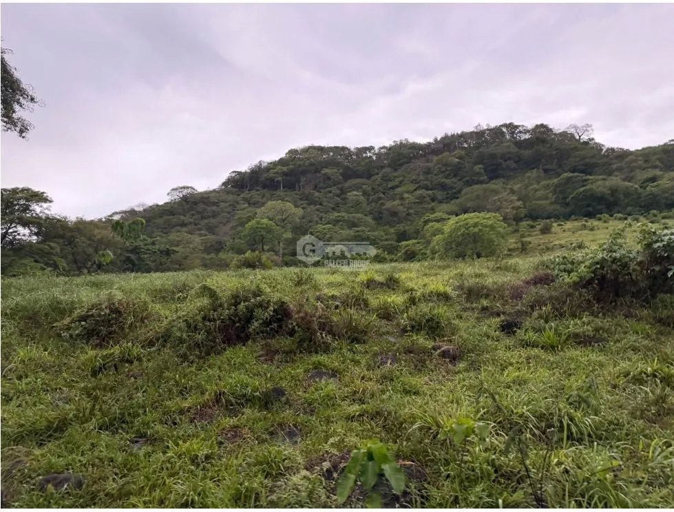 Land/Farm for sale in Sora