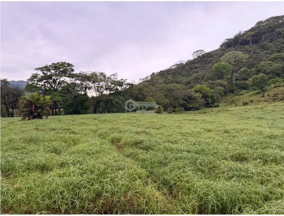 TERRENO / CHAME / LOS CAJONES /  70K M / VIA ASFALTADA/ AGUA VIVA