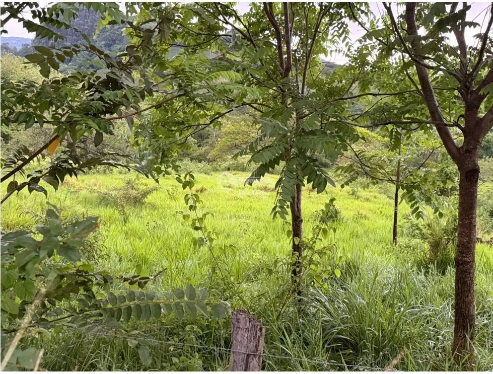 Building Lot for sale in Sora