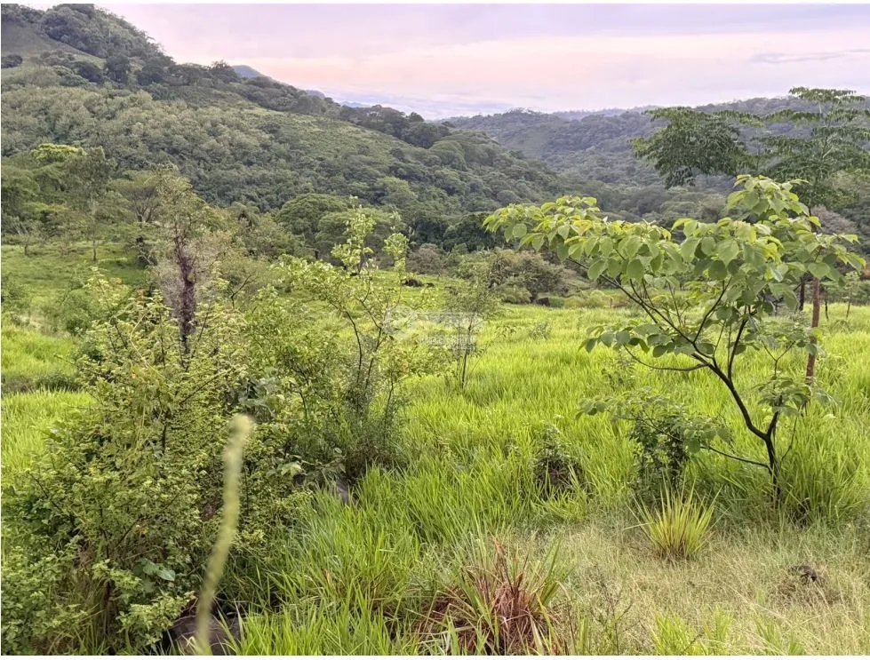 Building Lot for sale in Sora