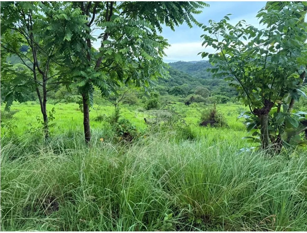 Building Lot for sale in Sora