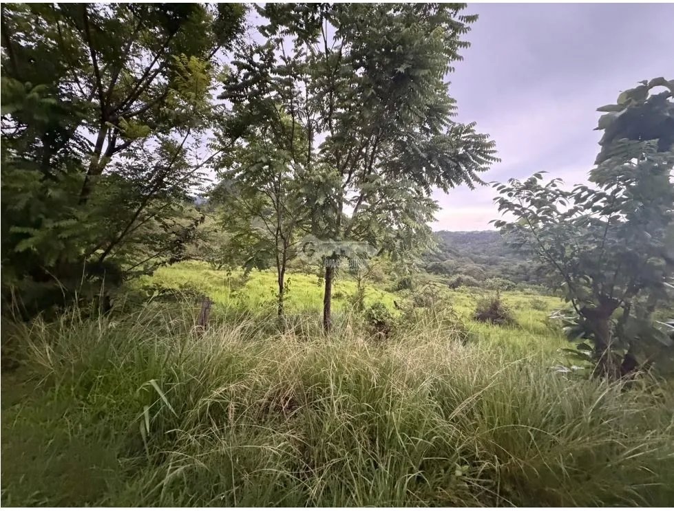 Building Lot for sale in Sora