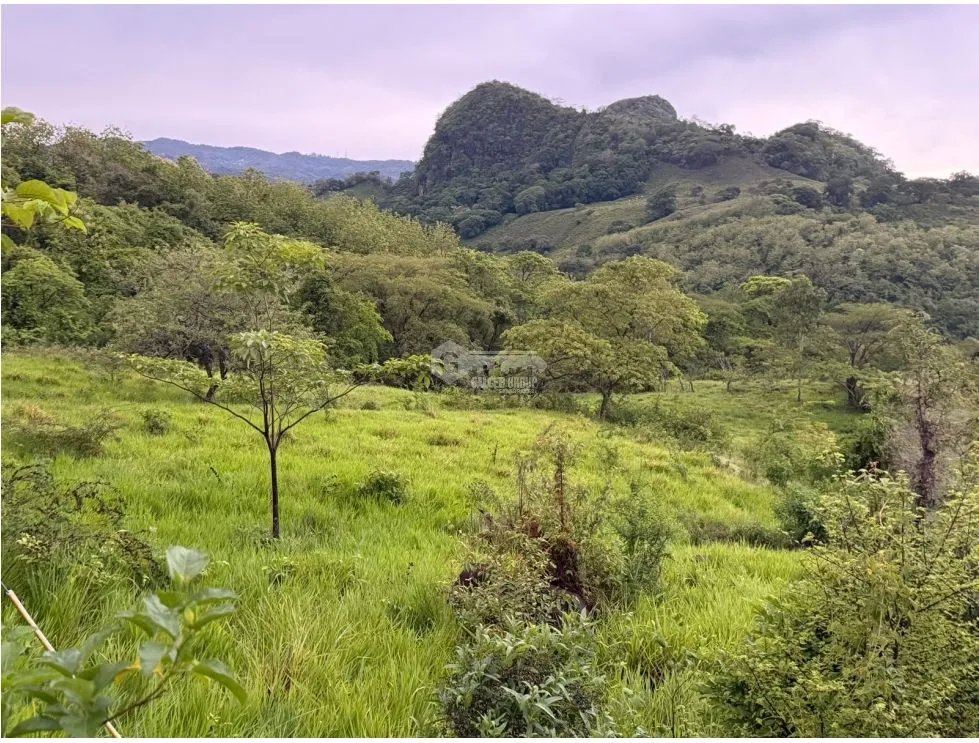 Land/Farm for sale in Sora