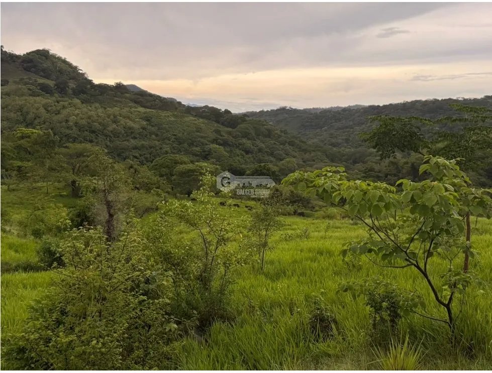 Land/Farm for sale in Sora
