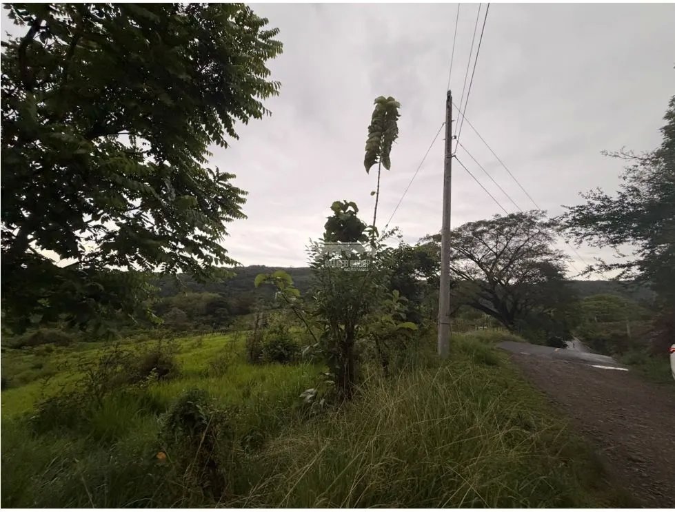 Land/Farm for sale in Sora