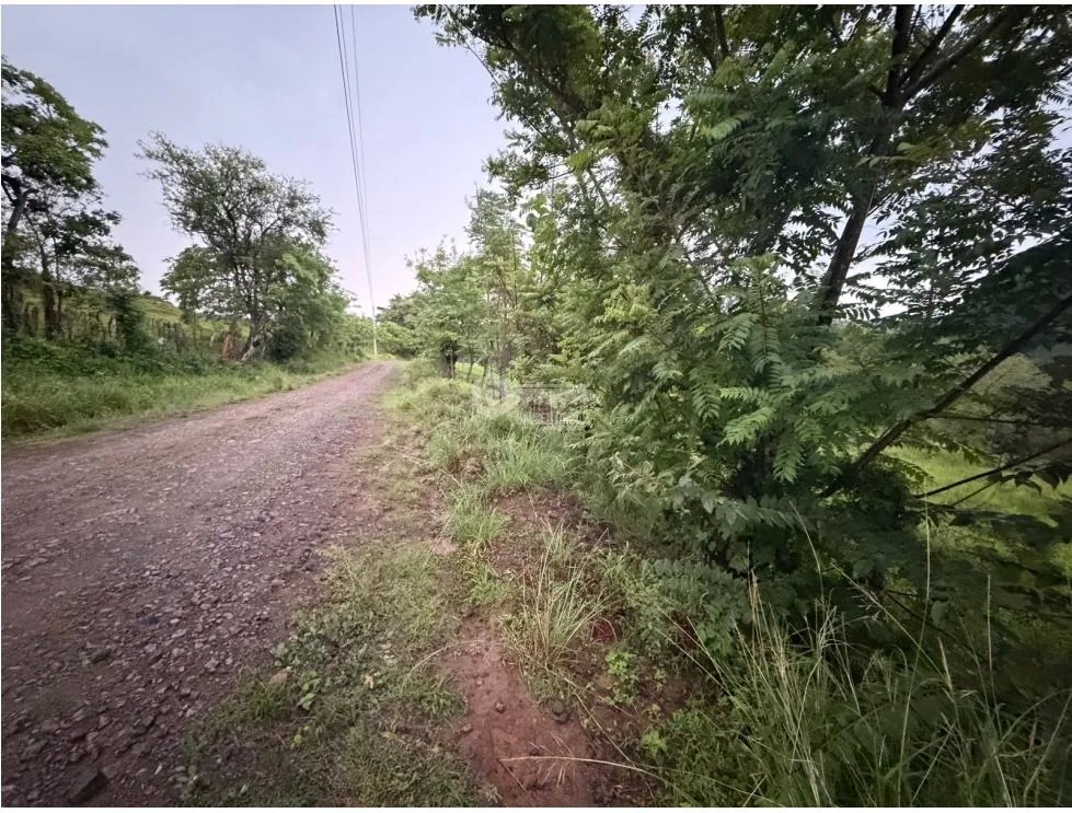 Land/Farm for sale in Sora