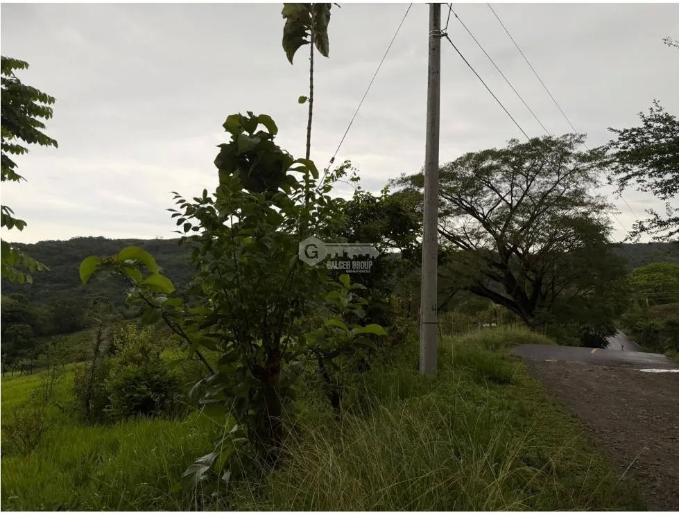 Land/Farm for sale in Sora