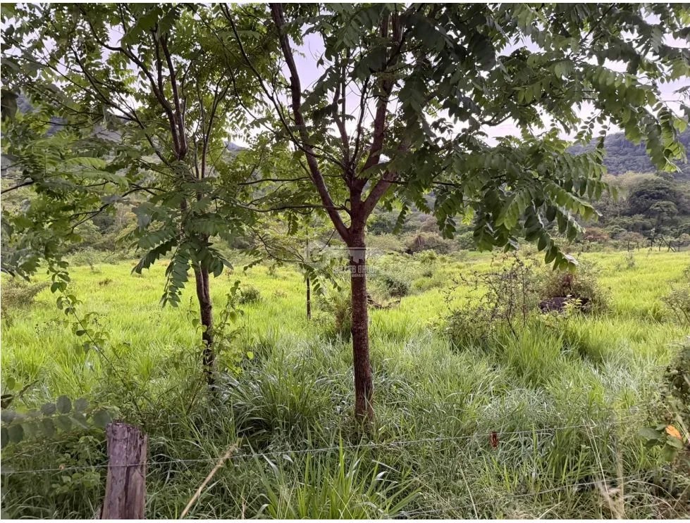 Land/Farm for sale in Sora