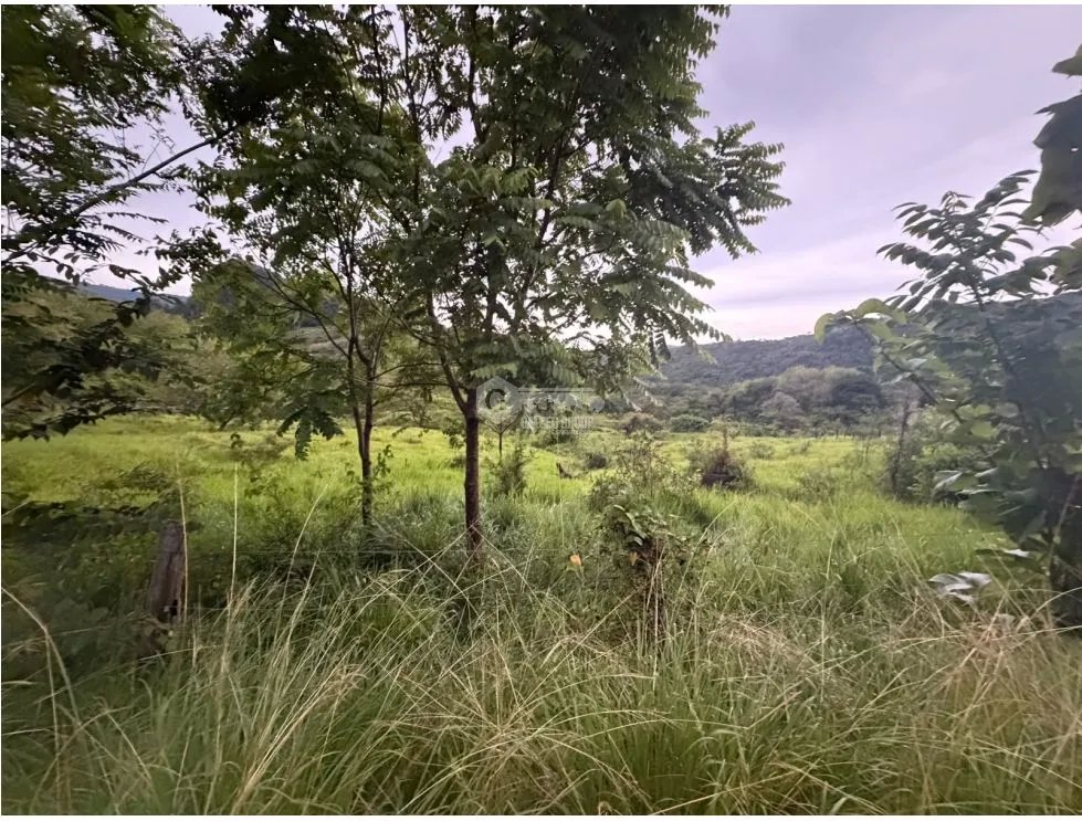 Land/Farm for sale in Sora