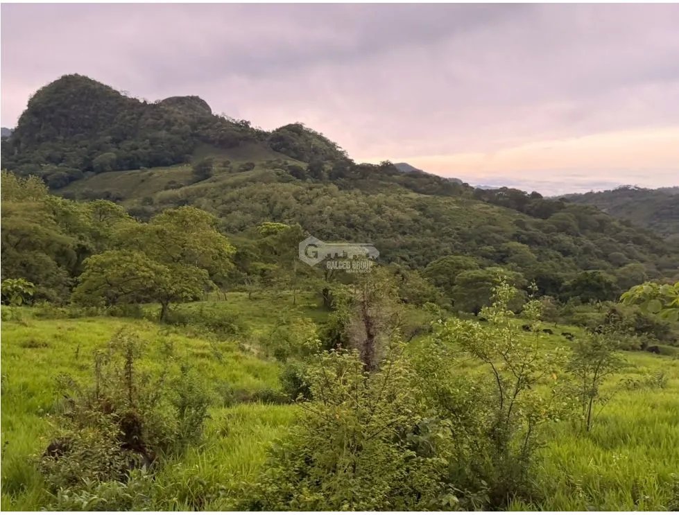 Land/Farm for sale in Sora