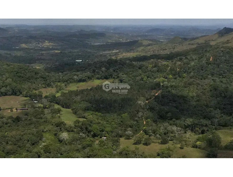 LOTE / CAPIRA / CERMEÑO / 21 HECTAREAS / INVERSION / REMATE