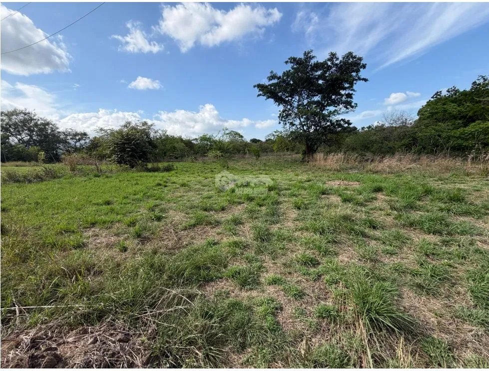 SE VENDE FINCA EN CHAME VIA ALTOS DE MARIA 6 HECTÁREAS