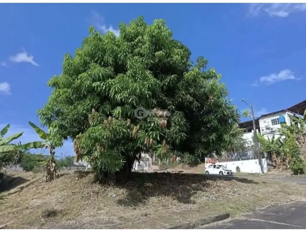 Building Lot for sale in Villa Zaita
