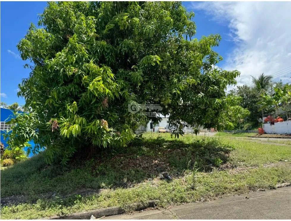 Building Lot for sale in Villa Zaita