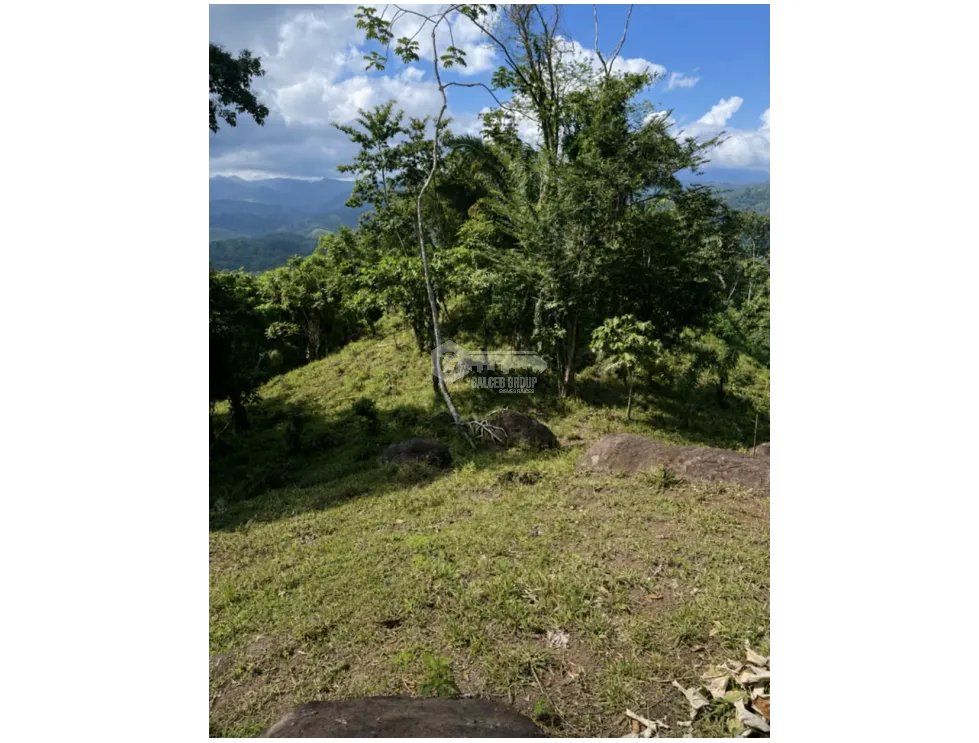 Land/Farm for sale in Capira