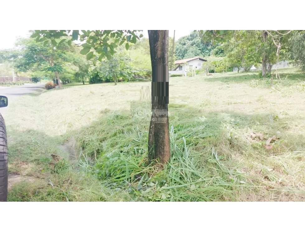 TERRENO / CORONADO / 1,198 M2 / LOTE PLANO / DENTRO DEL CLUB