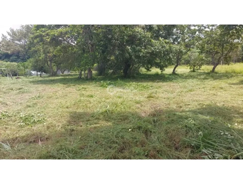 TERRENO / CORONADO / 1,198 M2 / LOTE PLANO / DENTRO DEL CLUB