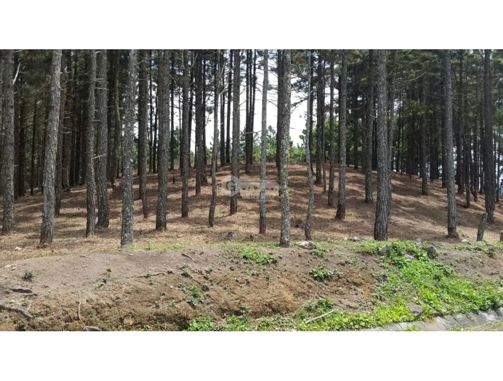 Building Lot for sale in Chame