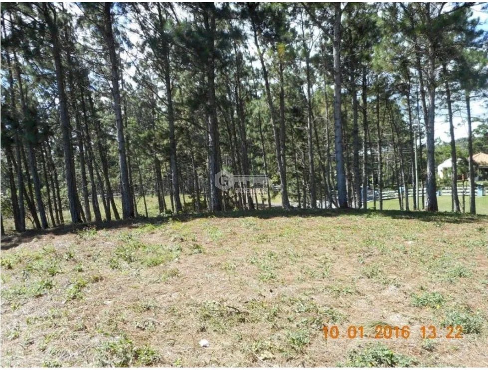 Building Lot for sale in Chame
