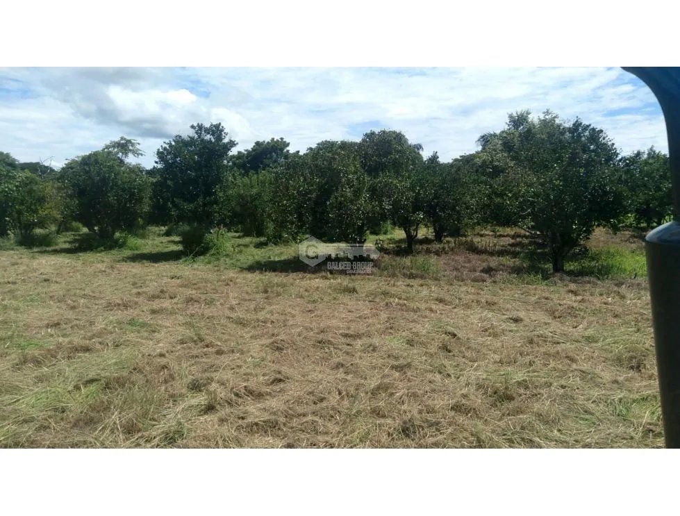 Building Lot for sale in Coronado