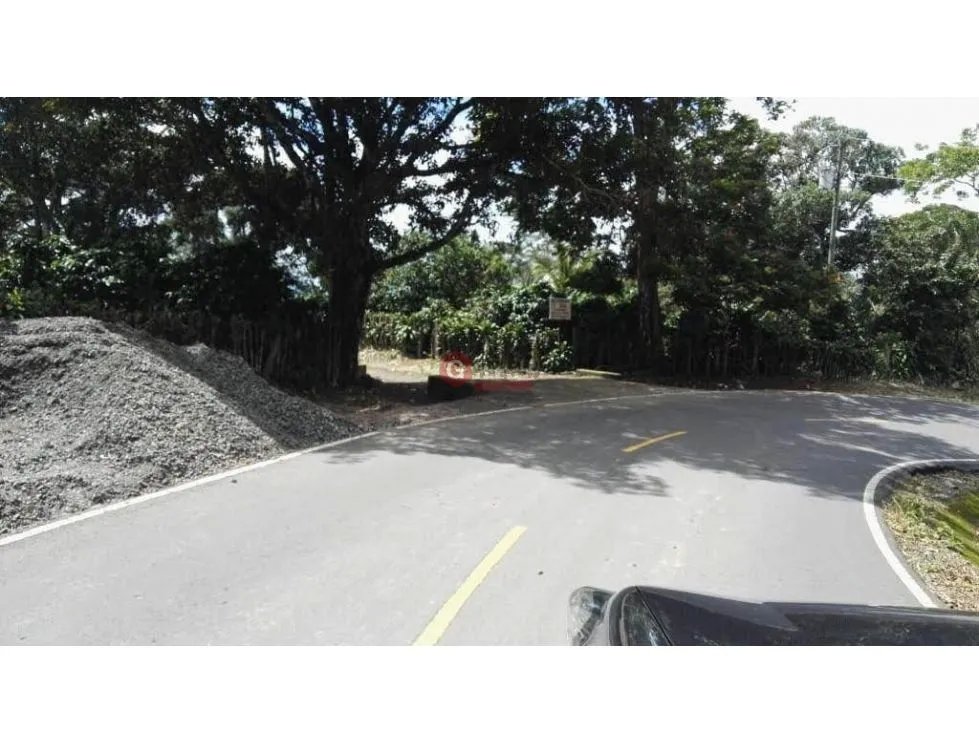 FINCA / 1 HECTAREA / PALMIRA ABAJO / BOQUETE / CHIRIQUI
