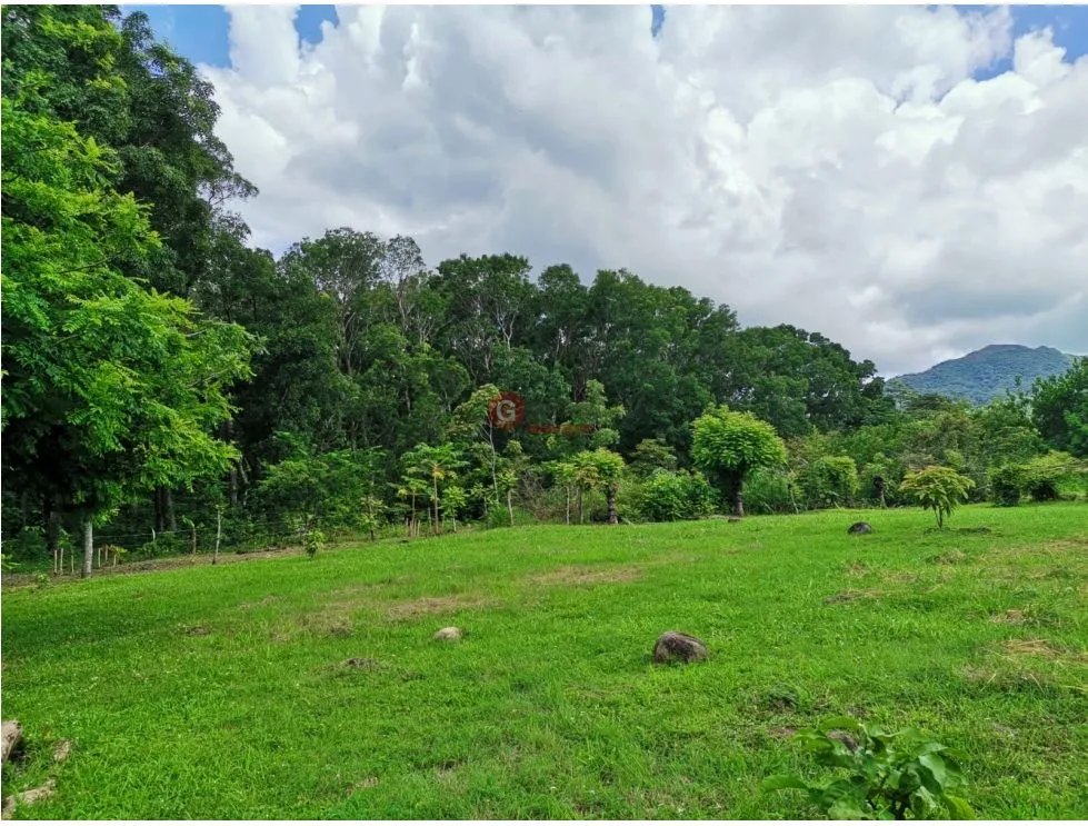 Land/Farm for sale in Chame