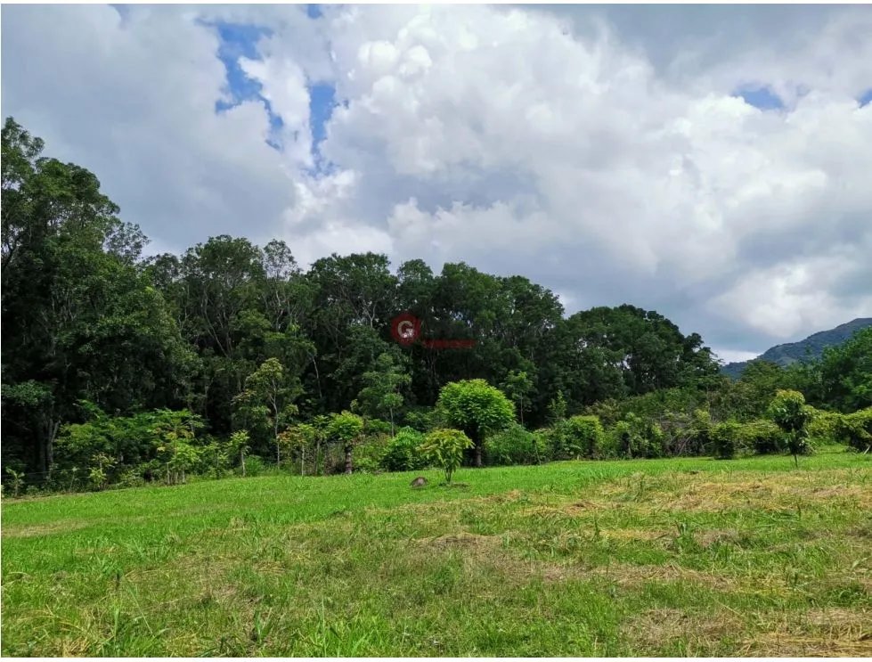 CHAME / FINCA EN BEJUCO / 10 HECTAREAS / CERCA DE LA INTERAMERICANA