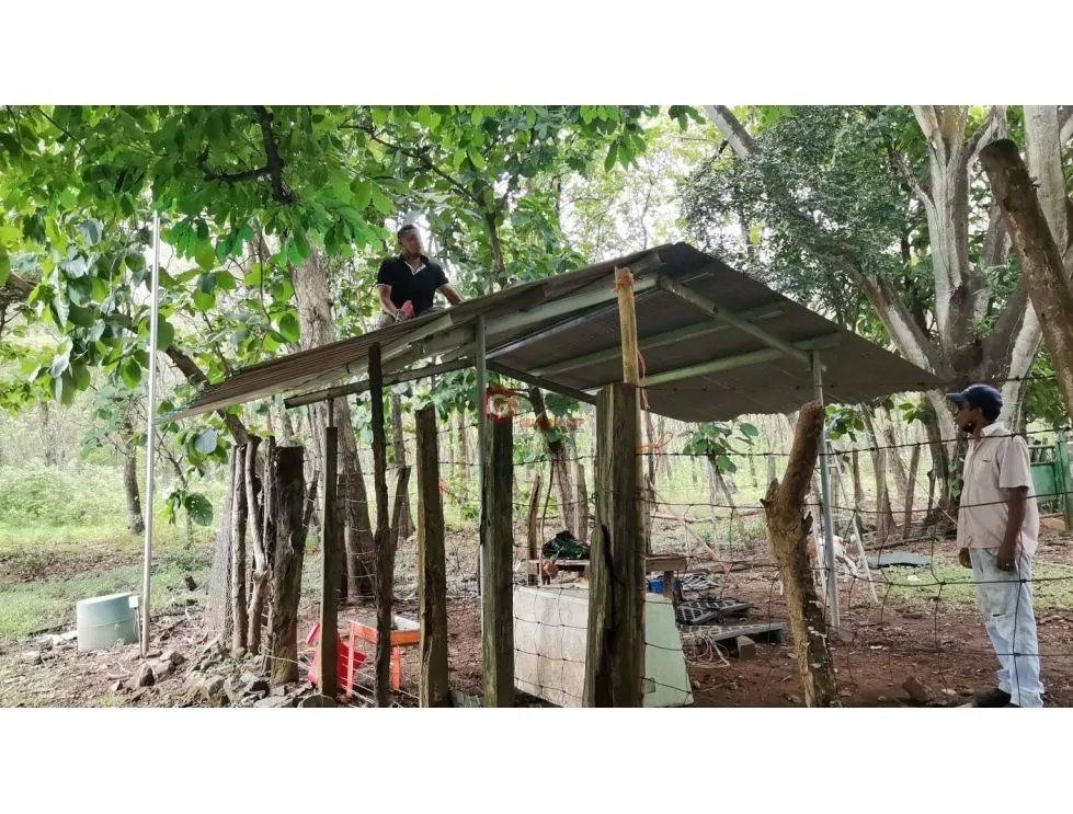 CHAME / FINCA EN BEJUCO / 10 HECTAREAS / CERCA DE LA INTERAMERICANA