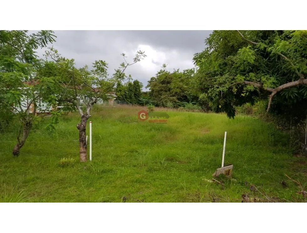 TERRENO / CORONADO / AVE. BOULEVARD / 1000m2 / NEGOCIABLE