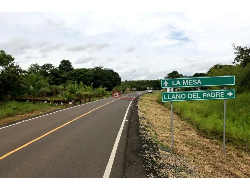 TERRENO COMERCIAL VIA INTERAMERICANA / LA MESA DE VERAGUAS / 15000m2