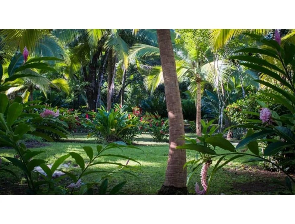 TERRENO COMERCIAL / PISCINA  / FRENTE AL MAR /  PORTOBELO / 5500M