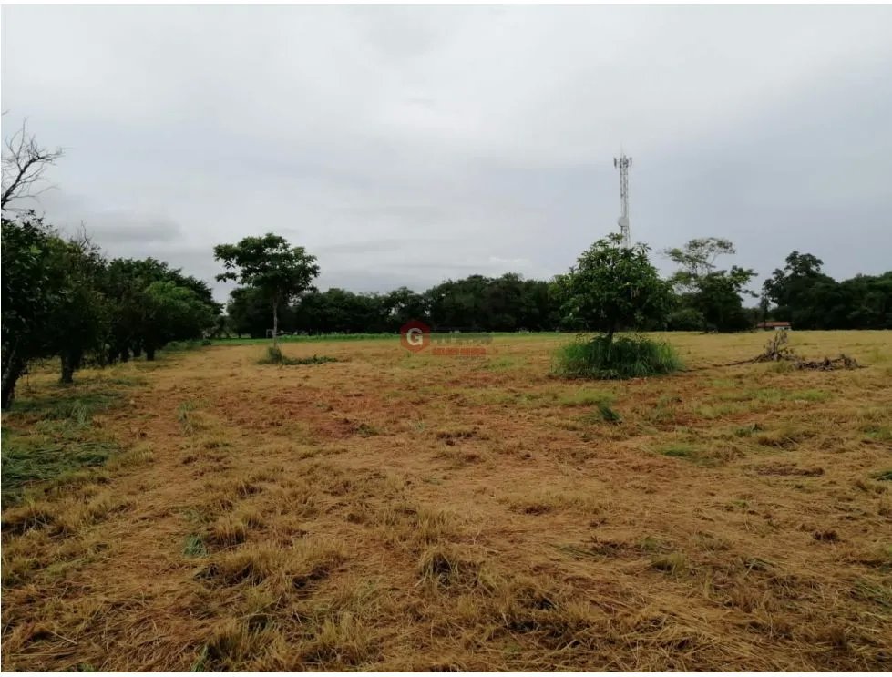 Land/Farm for sale in Coronado
