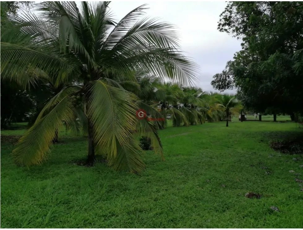 Land/Farm for sale in Coronado