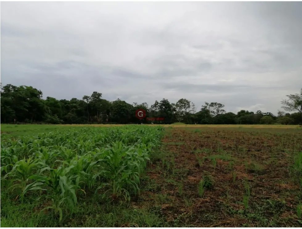 Land/Farm for sale in Coronado