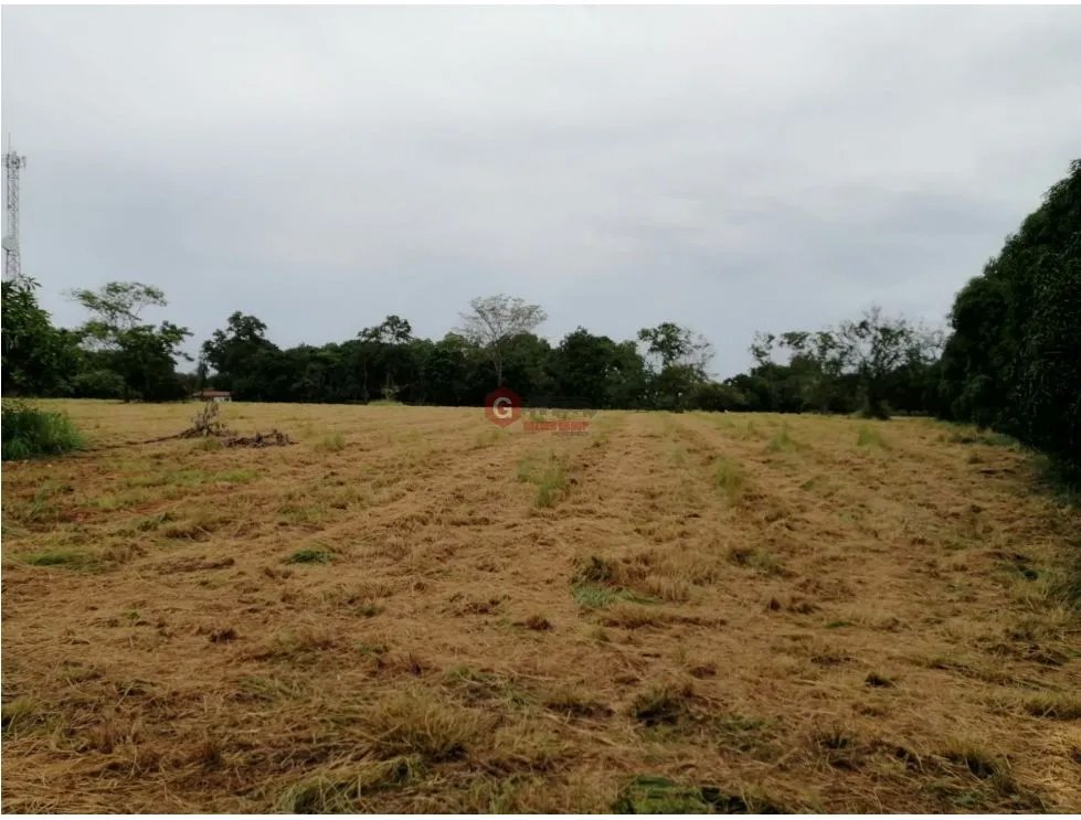 Land/Farm for sale in Coronado
