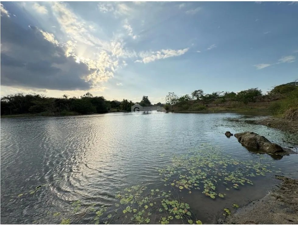 Building Lot for sale in San Carlos