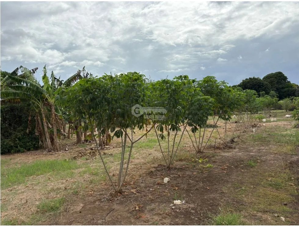 Building Lot for sale in Chame