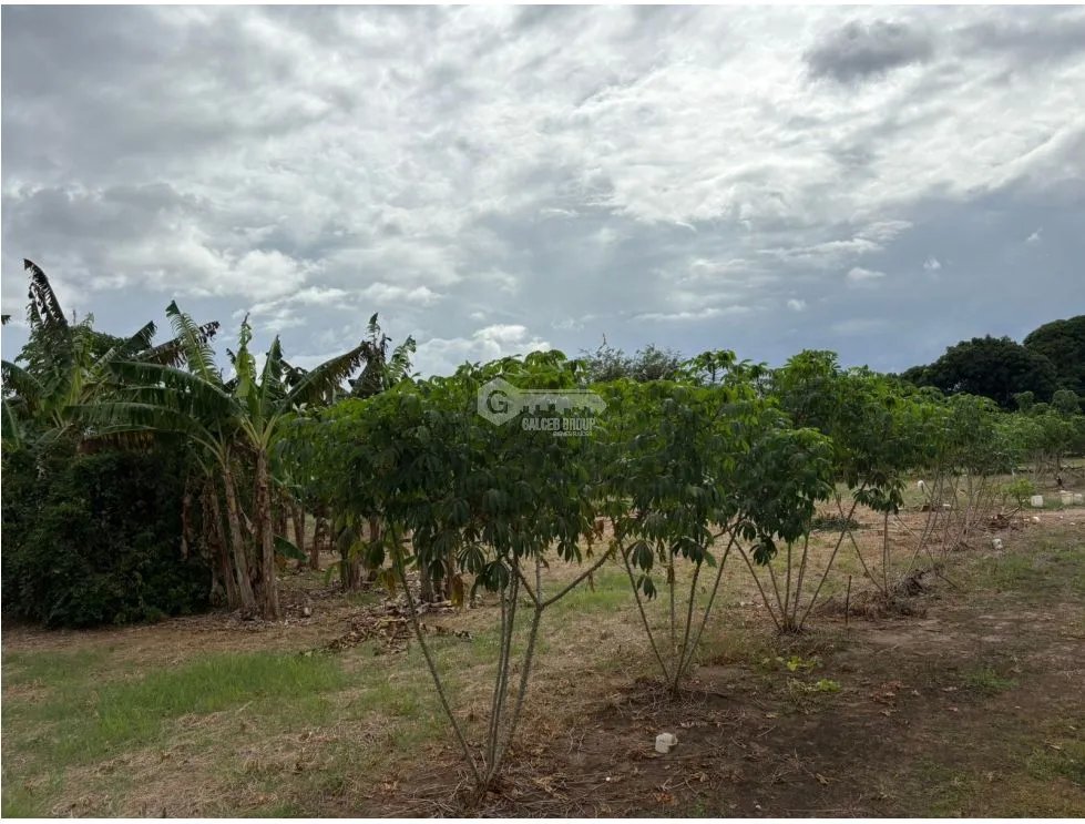 Building Lot for sale in Chame