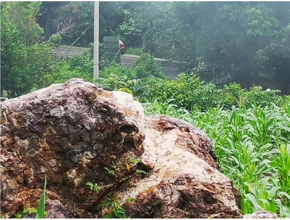 Building Lot for sale in Chame