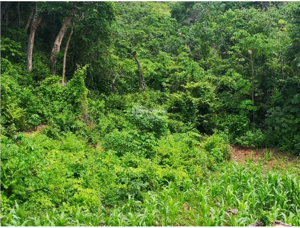 Building Lot for sale in Chame